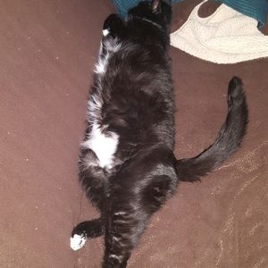 Meet your Posher, Kathy